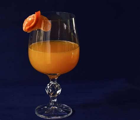 Orange Juice Cocktail Free Stock Photo - Public Domain Pictures