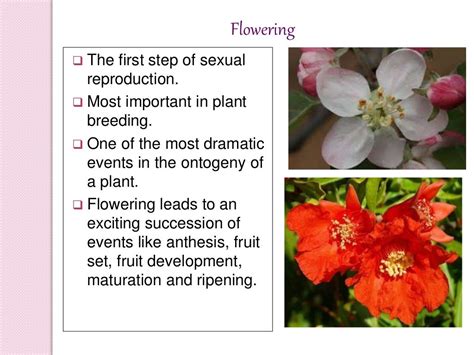 Physiology of flowering, photoperiodism