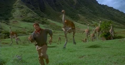 Herd of Lizards Running for the Trees Compared to Scene From 'Jurassic ...