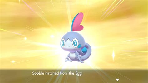 Shiny Sobble after 13 eggs! Anyone have any names? It’s a male. : r ...