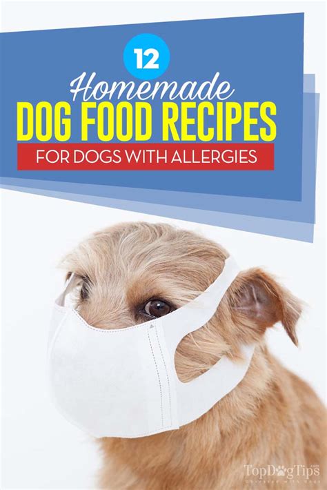 12 Homemade Dog Food for Allergies Recipes