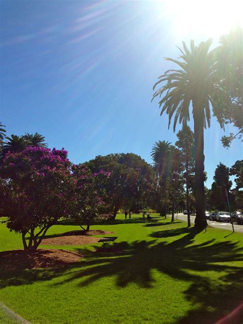 Centennial Park, Sydney