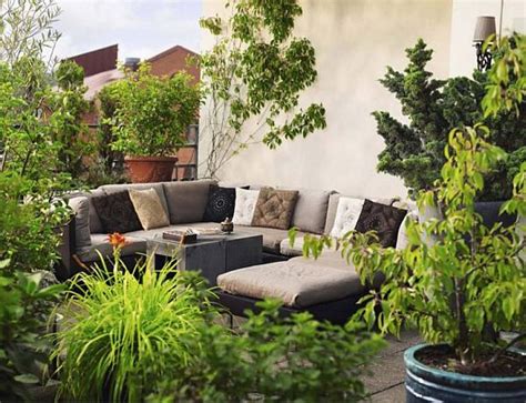 How to decorate the patio with plants