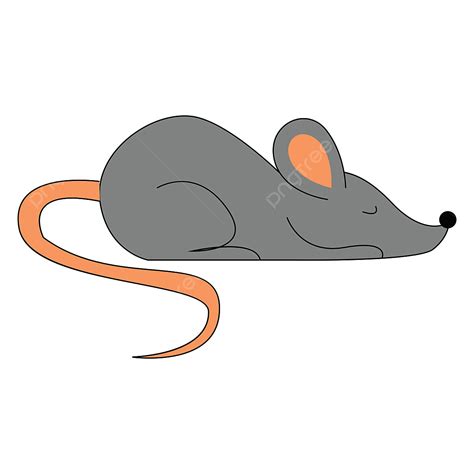 Rato Dormindo Ilustração Vector No Fundo Branco PNG , Mouse Clipart ...