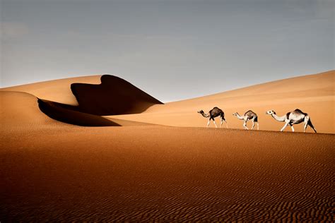 Liwa Desert by Ananyana on DeviantArt