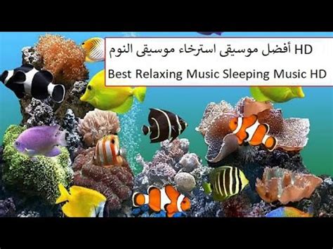 Stunning Aquarium & The Best Relaxing Music - SLEEP MUSIC - HD 1080P - YouTube