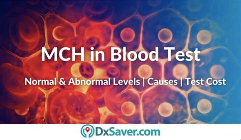 What is MCH in Blood Tests? | MCH Blood Test Normal, High & Low Levels ...