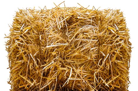 Straw Bale transparent PNG - StickPNG