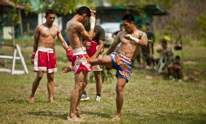 List of Muay Thai Techniques (Beginner & Advanced) - Black Belt Wiki