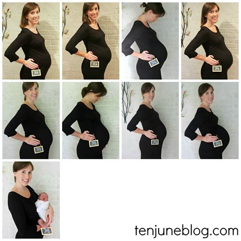 Cute Pregnancy Photos Week By Week