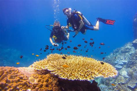 Calypso Diving Koh Samui Dive Shop, Thailand | Koh Samui Diving
