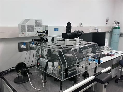 Live Cell Imaging - The University of Auckland