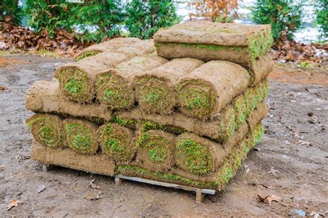 Premium Photo | Stack of turf grass rolls for a lawn fresh grass to decorate landscape