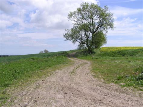 High Grindon : near Deserted Medieval... © Hugh Mortimer cc-by-sa/2.0 :: Geograph Britain and ...