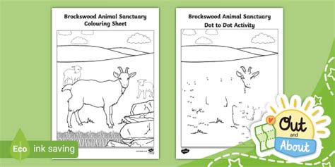 FREE! - Brockswood Animal Sanctuary Activity Pack - Twinkl