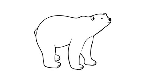 How to Draw a Polar Bear - YouTube