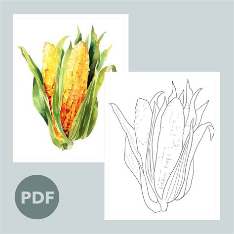 Corn Husk Project– Let's Make Art