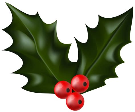 Christmas Clip art - Christmas Holly Mistletoe PNG Clip Art png download - 6000*4982 - Free ...