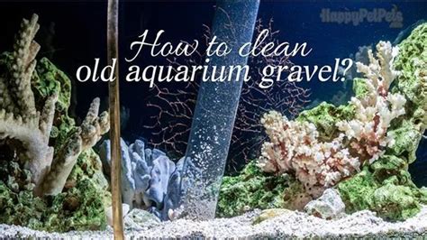 How to Clean Aquarium Rocks: Boiling Method for Sparkling Water Quality