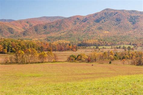 Top 5 Cades Cove Hiking Trails You Should Go On | Cades cove, Hiking ...