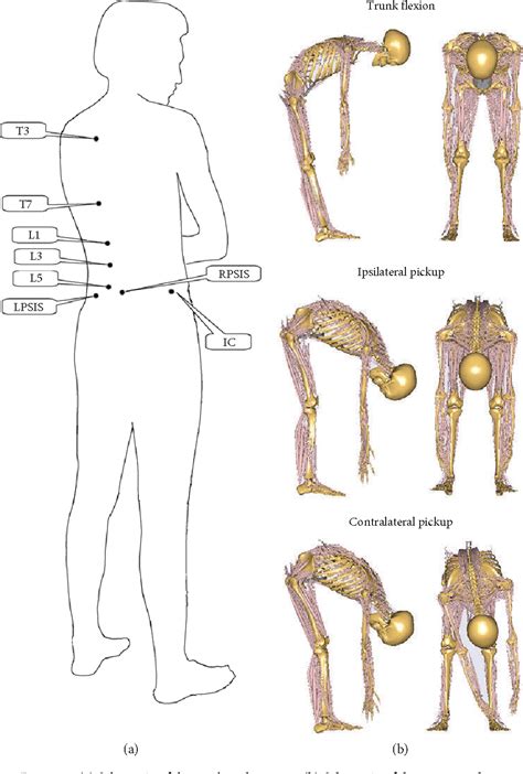 Supine Lumbar Flexion