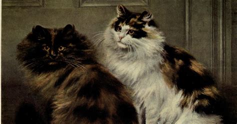 Fascinating Facts and Hiss-tory of Persian Cats – Meowingtons