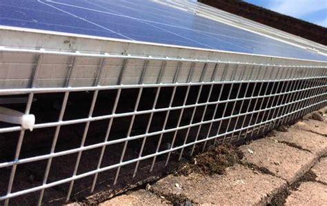 bird-proofing-solar-pv-bg2 - MyEco Energy