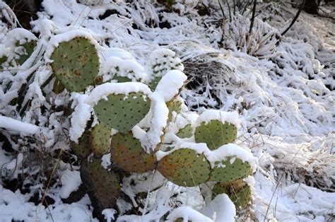 My favorite national parks to visit in winter - Right Kind Of Lost