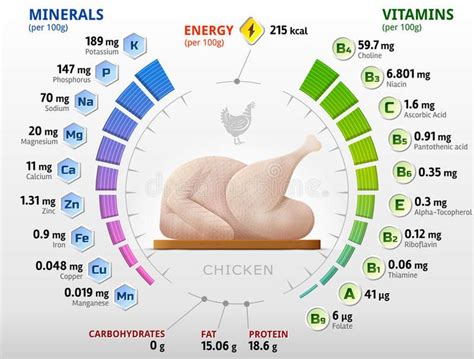 Vitamins and minerals of raw chicken vector illustration | Chicken ...