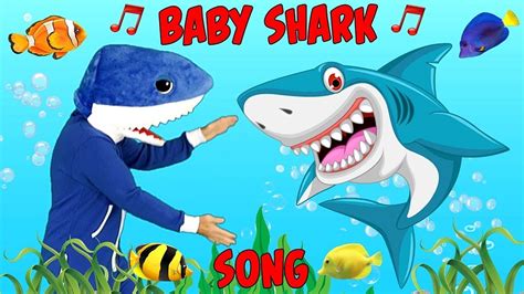 BABY SHARK SONG | Kids Songs & Nursery Rhymes Sing Along Kids Fun Song CHERBEAR MUSIC - YouTube