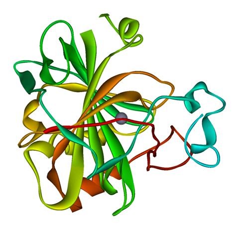 Carbonic anhydrase - wikidoc