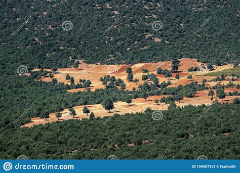 Aerial View of Arable Land Ready for Sowing Stock Image - Image of agrarian, crop: 199507931