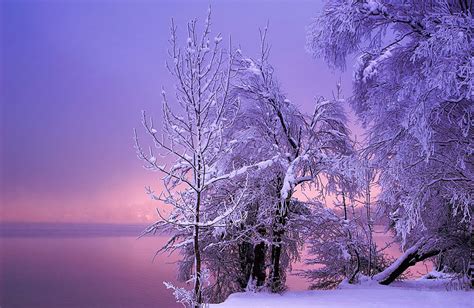 20 Breathtaking Photos Of Winter Landscapes | Bored Panda