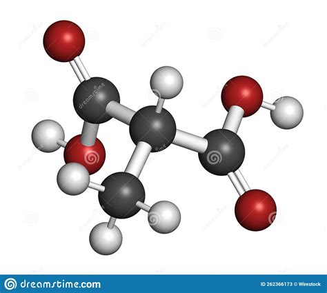 Methylmalonic Acid Molecule. Increased Plasma Levels May Indicate ...