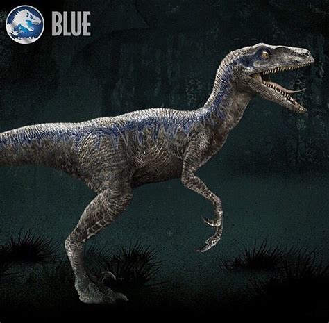 Raptor squad Blue | Jurassic world raptors, Blue jurassic world ...