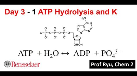 CHEM 2 Day03_1 Hydrolysis of ATP – Equilibrium K - YouTube