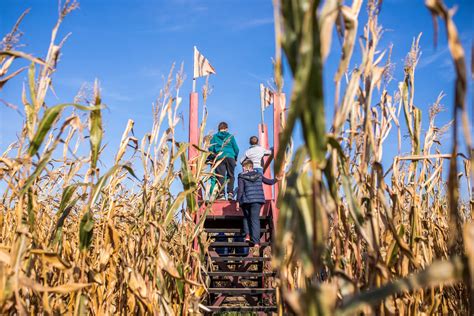 7 Corn Mazes in the Midwest to Visit This Fall - Togo RV