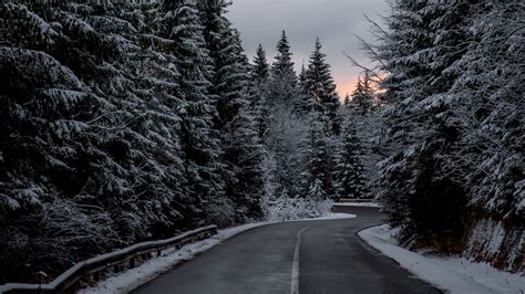 trees, road, winter, snow 4k Winter, Trees, Road Destop Wallpaper ...