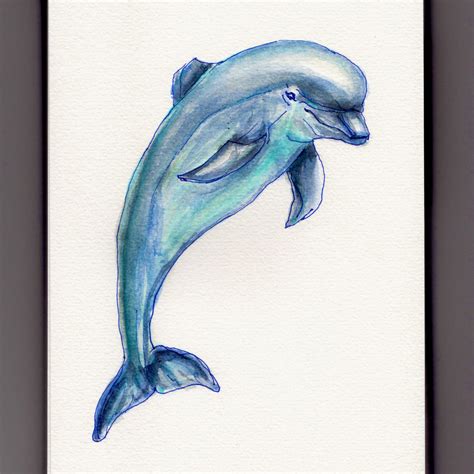 Dolphin art, Dolphin painting, Dolphin watercolor