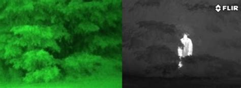 Night vision vs. thermal imagine showing that tree cover cannot hide a ...