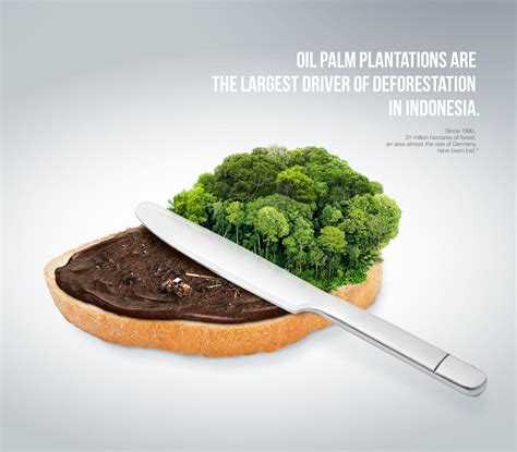 Palm oil and deforestation on Behance | Palm oil, Deforestation, Deforestation poster