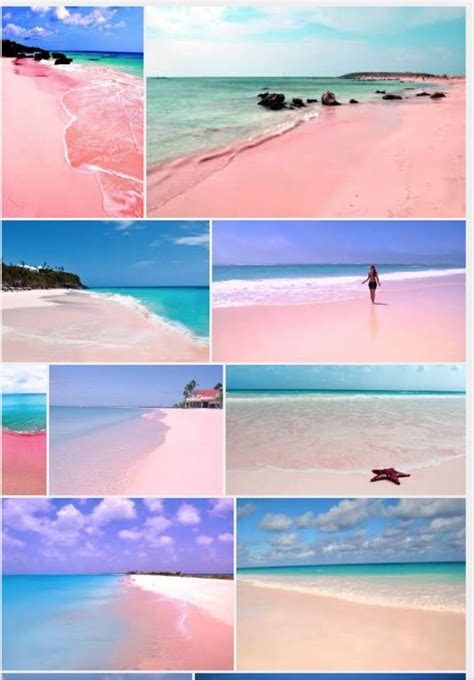 Pink sand beaches - Bahamas Pink Sand Beach Bahamas, Bahamas Honeymoon, Bahamas Vacation ...