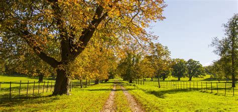 Best places to stay in Brockenhurst, United Kingdom | The Hotel Guru