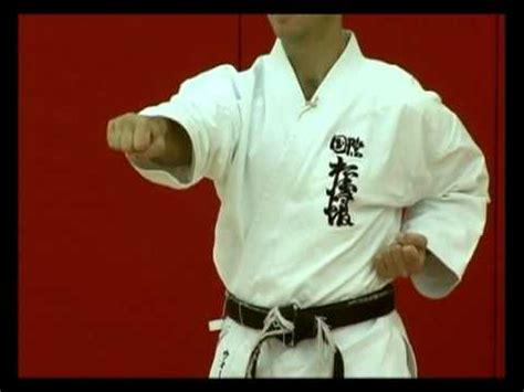 Basic Karate Punches: Chokuzuki - Straight punch - YouTube