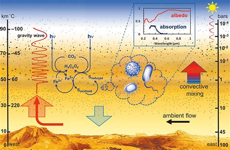 Could microbes be affecting Venus’ climate?