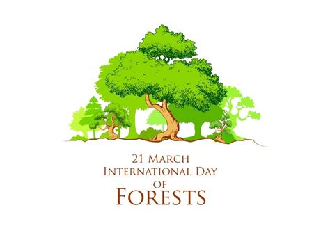 International Day of Forests Today! | Pragativadi | Odisha News, Breaking News Odisha, Latest ...