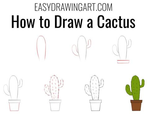 How to Draw a Cactus | Easy drawings, Easy drawings for beginners, Easy ...