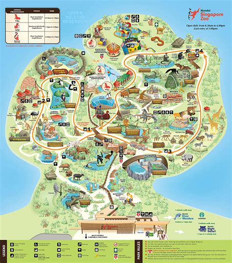 Amazing Guide To Singapore Zoo: Shows, Animals, Tickets & More - Little Day Out