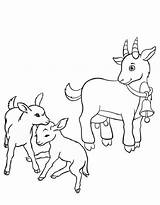 Goat Coloring Pages Free Printable PDF sketch template