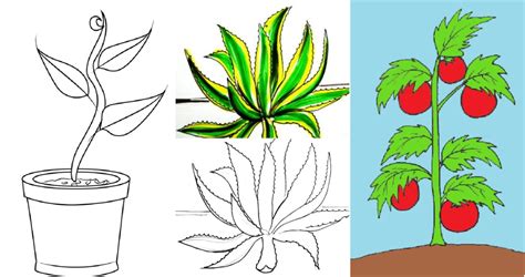 30 Easy Plant Drawing Ideas - How to Draw a Plant